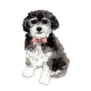 Meet your Posher, Jessie